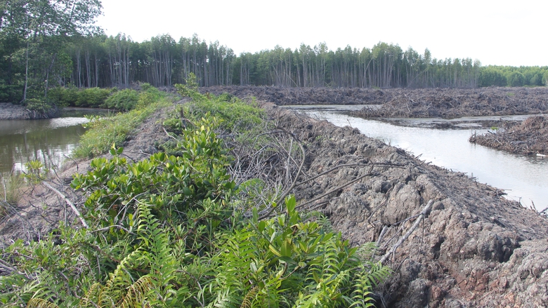 Dự kiến vị trí khởi công cao tốc Cà Mau - Đất Mũi, mở đường ra đảo Hòn Khoai- Ảnh 1. Dự kiến vị trí khởi công cao tốc Cà Mau - Đất Mũi, mở đường ra đảo Hòn Khoai- Ảnh 1.