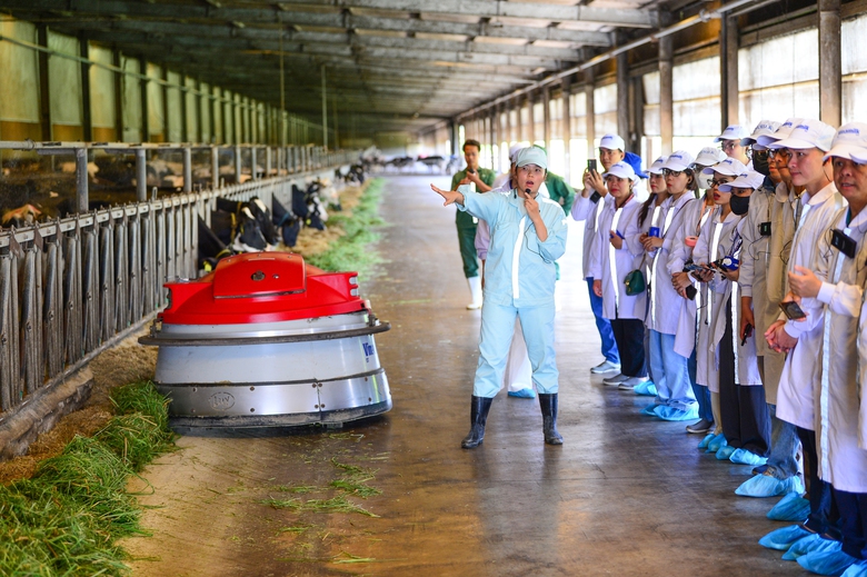 D&ugrave; sử dụng rất nhiều thiết bị c&ocirc;ng nghệ &ldquo;4.0&rdquo; hiện đại nhưng đ&aacute;ng ch&uacute; &yacute; l&agrave; trong việc chăm s&oacute;c b&ograve; sữa, doanh nghiệp lại lu&ocirc;n tập trung v&agrave;o ti&ecirc;u ch&iacute; &ldquo;tạo ra m&ocirc;i trường sống gần gũi thi&ecirc;n nhi&ecirc;n, hạn chế sự can thiệp của con người v&agrave; để b&ograve; sữa được thoải m&aacute;i, ăn ngủ, vận động theo nhu cầu, sinh hoạt theo những tập t&iacute;nh tự nhi&ecirc;n vốn c&oacute;...&rdquo;, chị Kiều Linh nhấn mạnh.