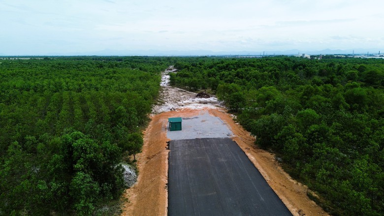 Quảng Trị chốt thời hạn b&agrave;n giao mặt bằng dự &aacute;n đường tr&aacute;nh Đ&ocirc;ng H&agrave;- Ảnh 3.