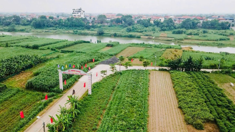 H&agrave; Nội: M&ocirc; h&igrave;nh "hai phục vụ" tại x&atilde; đảo Minh Ch&acirc;u- Ảnh 16.