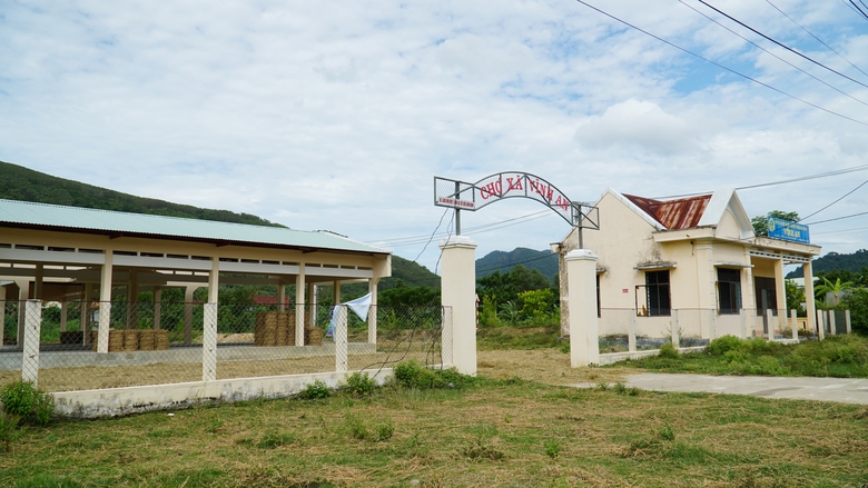 Gia Lai: Chợ tiền tỷ bỏ hoang, người dân tận dụng... phơi rơm rạ- Ảnh 5. Gia Lai: Chợ tiền tỷ bỏ hoang, người dân tận dụng... phơi rơm rạ- Ảnh 5.