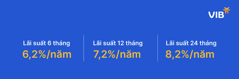 VIB: Vay mua nhà không còn là áp lực, linh hoạt thiết kế gói theo nhu cầu- Ảnh 3.