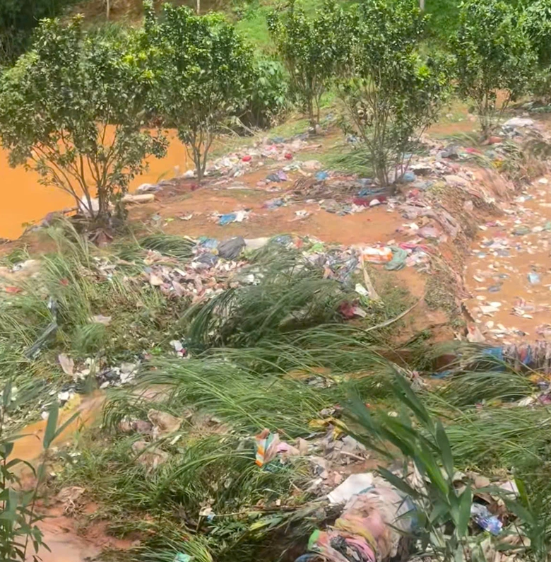 Quảng Ng&atilde;i: L&agrave;m r&otilde;, xử l&yacute; vi phạm tại dự &aacute;n nh&agrave; m&aacute;y r&aacute;c mới vận h&agrave;nh đ&atilde; bị sự cố- Ảnh 2.