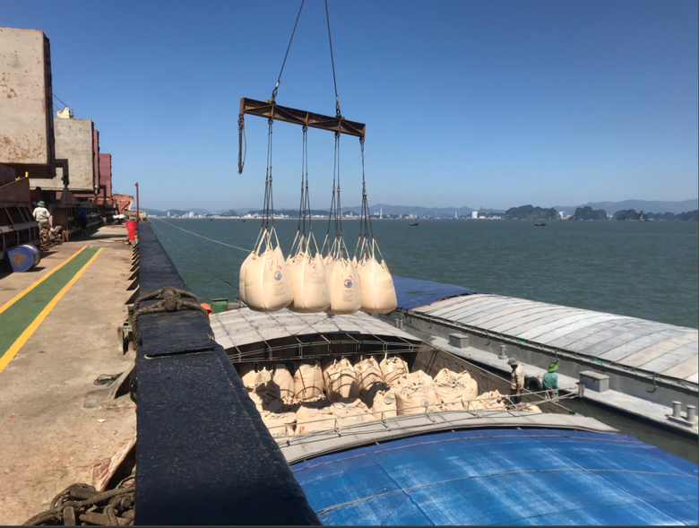 Nhu cầu ti&ecirc;u thụ xi măng trong nước tăng v&agrave;o c&aacute;c th&aacute;ng cuối năm 2025- Ảnh 4.