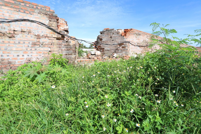 C&ocirc;ng nh&acirc;n kỳ c&ocirc;ng gỡ từng vỉa đ&aacute; tr&ugrave;ng tu Kinh th&agrave;nh Huế- Ảnh 4.