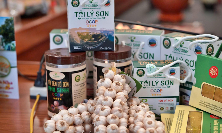 Việt Nam chia sẻ m&ocirc; h&igrave;nh OCOP với 14 nước ch&acirc;u Phi- Ảnh 1.