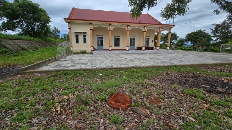 Gia Lai: Tạm dừng bổ nhiệm một c&aacute;n bộ x&atilde; sau vụ b&aacute;n c&acirc;y xanh khu&ocirc;n vi&ecirc;n trụ sở l&agrave;m củi- Ảnh 1.