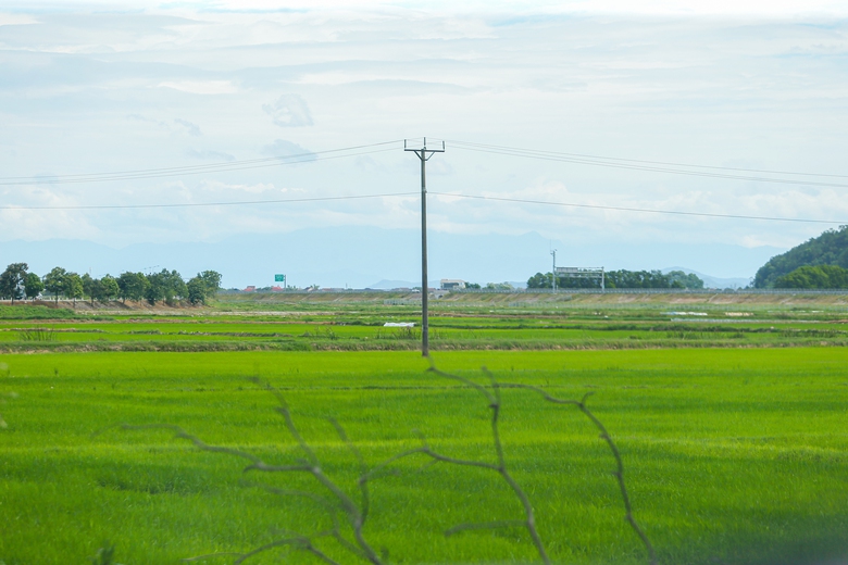 Nghệ An: Nhiều c&ocirc;ng tr&igrave;nh điện nằm trong phạm vi dự &aacute;n đường sắt tốc độ cao Bắc - Nam- Ảnh 2.