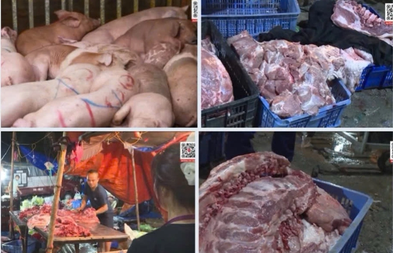C&ocirc;ng an H&agrave; Nội ph&aacute; đường d&acirc;y tuồn h&agrave;ng tấn thịt lợn bệnh ra thị trường, bắt 4 người- Ảnh 2.