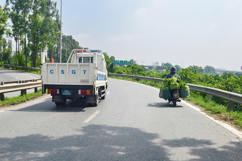 H&agrave; Nội xử phạt nhiều t&agrave;i xế &ocirc; t&ocirc; dừng mua ổi, đ&oacute;n trả kh&aacute;ch tại lối v&agrave;o cao tốc Hải Ph&ograve;ng- Ảnh 1.