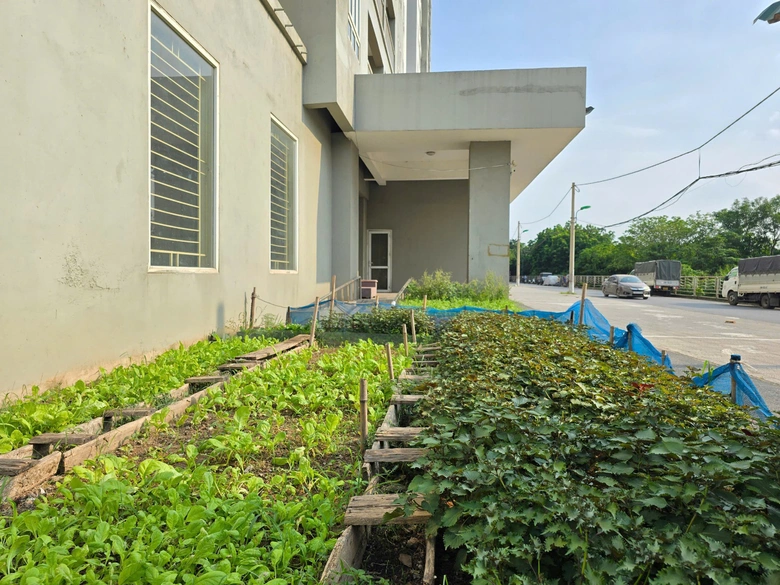 H&agrave;ng ngh&igrave;n căn hộ t&aacute;i định cư bỏ hoang tr&ecirc;n &ldquo;đất v&agrave;ng&rdquo; H&agrave; Nội- Ảnh 3.