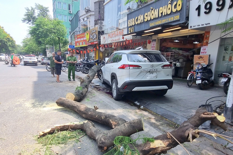 Nữ tài xế tông 11 xe máy, húc đổ cây: Một nạn nhân đã tử vong- Ảnh 3. Nữ tài xế tông 11 xe máy, húc đổ cây: Một nạn nhân đã tử vong- Ảnh 3.