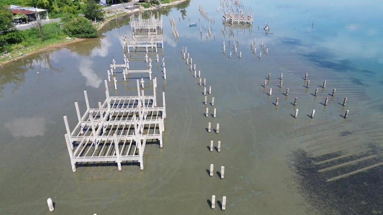 Huế: Chờ nh&agrave; đầu tư dẹp "ma trận" cọc b&ecirc; t&ocirc;ng tua tủa giữa vịnh Lăng C&ocirc;- Ảnh 4.