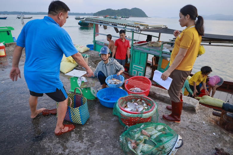 Hoạt động theo m&ocirc; h&igrave;nh ch&iacute;nh quyền 2 cấp - đặc khu C&ocirc; T&ocirc; sẵn s&agrave;ng bứt ph&aacute;- Ảnh 7.