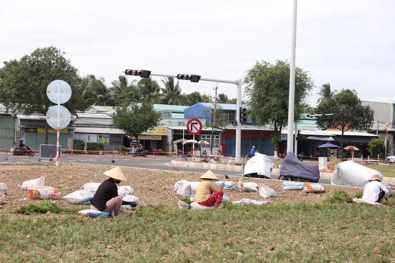 Tăng tốc những hạng mục cuối tại cầu Rạch Miễu 2, về đ&iacute;ch trước 6 th&aacute;ng- Ảnh 6.