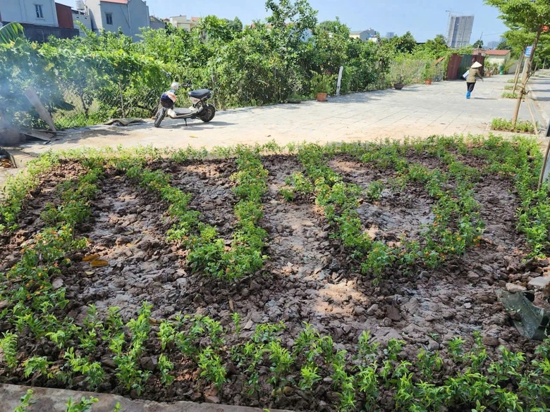 H&agrave; Nội đẹp từ những điều b&igrave;nh dị, văn minh- Ảnh 22.