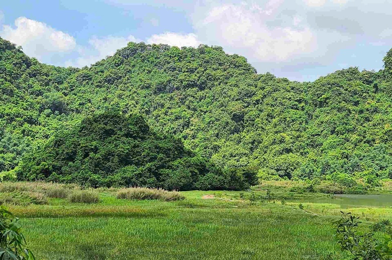 Ninh B&igrave;nh: Ph&aacute;t hiện bộ xương nghi của người đ&agrave;n &ocirc;ng mất t&iacute;ch hơn một năm trước- Ảnh 1.