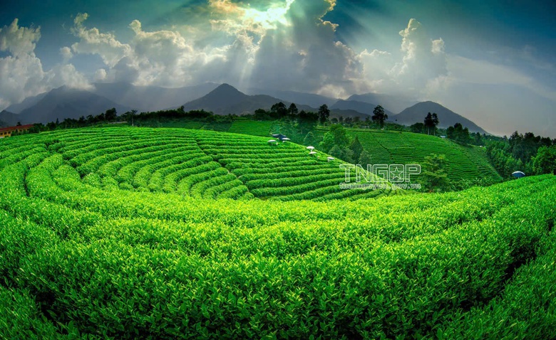 Khi hai mặt nước soi chung bầu trời- Ảnh 9. Khi hai mặt nước soi chung bầu trời- Ảnh 9.