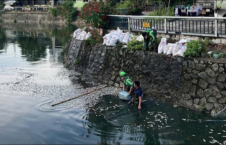 Nghệ An: V&igrave; sao c&aacute; chết trắng tr&ecirc;n k&ecirc;nh h&agrave;o th&agrave;nh cổ Vinh?- Ảnh 2.