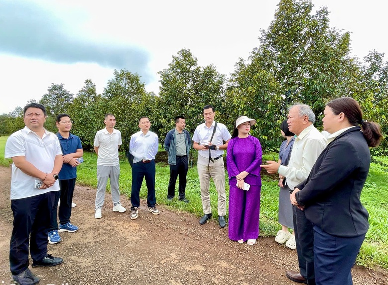 Gia Lai bứt phá với loạt dự án trọng điểm mới- Ảnh 3. Gia Lai bứt phá với loạt dự án trọng điểm mới- Ảnh 3.