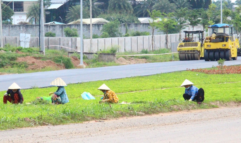 Thủ tướng: Đến 19/12 phải đảm bảo đủ các điều kiện khánh thành sân bay Long Thành- Ảnh 6. Thủ tướng: Đến 19/12 phải đảm bảo đủ các điều kiện khánh thành sân bay Long Thành- Ảnh 6.