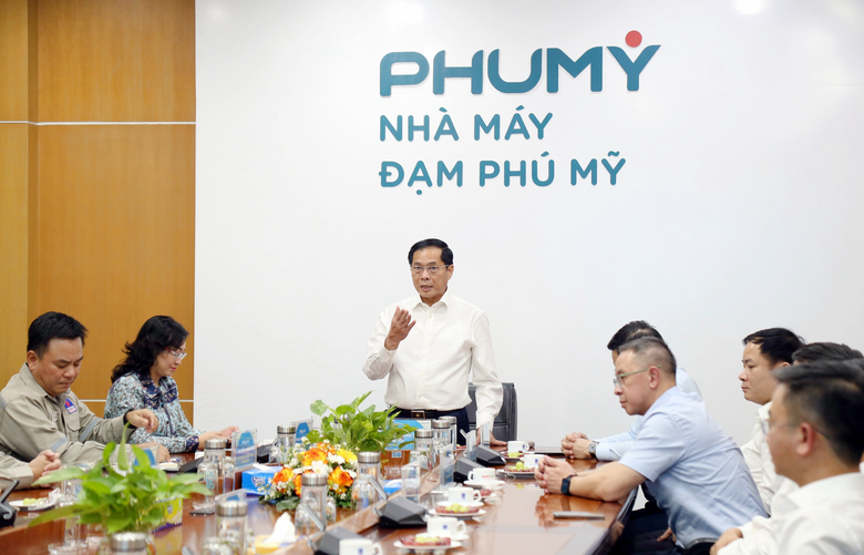 Ph&oacute; thủ tướng B&ugrave;i Thanh Sơn thăm v&agrave; l&agrave;m việc tại nh&agrave; m&aacute;y Đạm Ph&uacute; Mỹ- Ảnh 1.