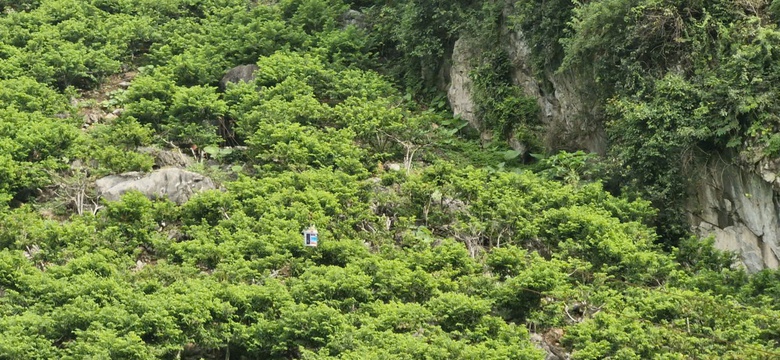 Na v&agrave;o ch&iacute;nh vụ, CSGT Lạng Sơn tất bật hỗ trợ người d&acirc;n ti&ecirc;u thụ- Ảnh 3.