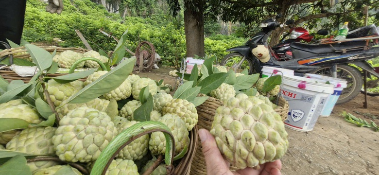 Na v&agrave;o ch&iacute;nh vụ, CSGT Lạng Sơn tất bật hỗ trợ người d&acirc;n ti&ecirc;u thụ- Ảnh 12.