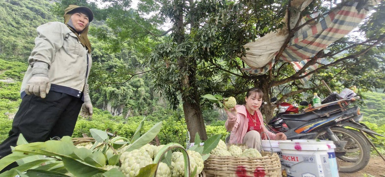 Na v&agrave;o ch&iacute;nh vụ, CSGT Lạng Sơn tất bật hỗ trợ người d&acirc;n ti&ecirc;u thụ- Ảnh 13.