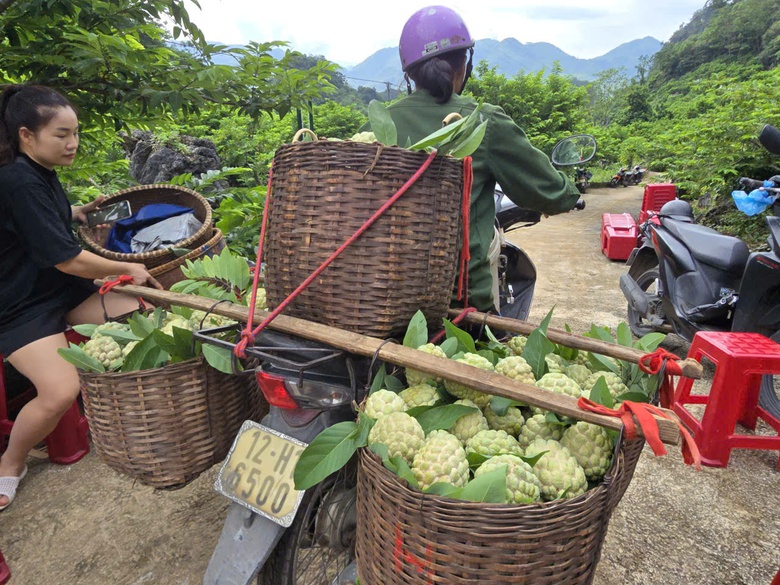 Lạng Sơn: Chủ tịch xã livestream bán na đặc sản Chi Lăng- Ảnh 3. Lạng Sơn: Chủ tịch xã livestream bán na đặc sản Chi Lăng- Ảnh 3.