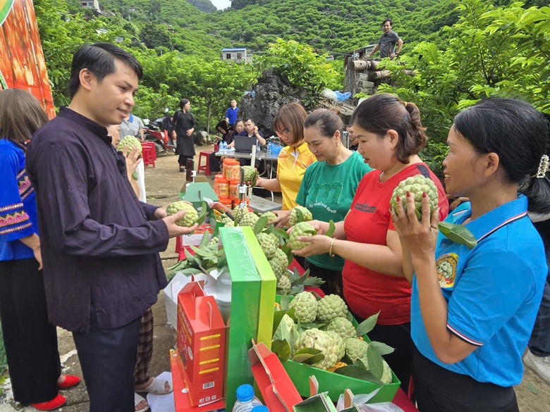 Lạng Sơn: Chủ tịch xã livestream bán na đặc sản Chi Lăng- Ảnh 4. Lạng Sơn: Chủ tịch xã livestream bán na đặc sản Chi Lăng- Ảnh 4.