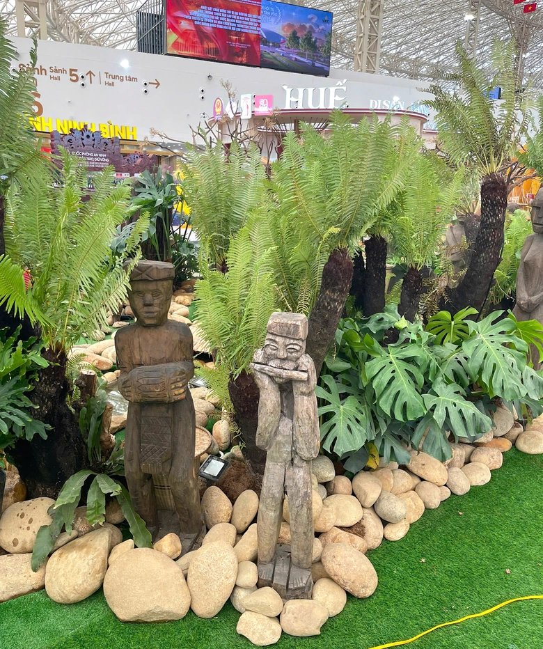 Quảng Ngãi mang sâm Ngọc Linh đi triển lãm tại Hà Nội- Ảnh 3.