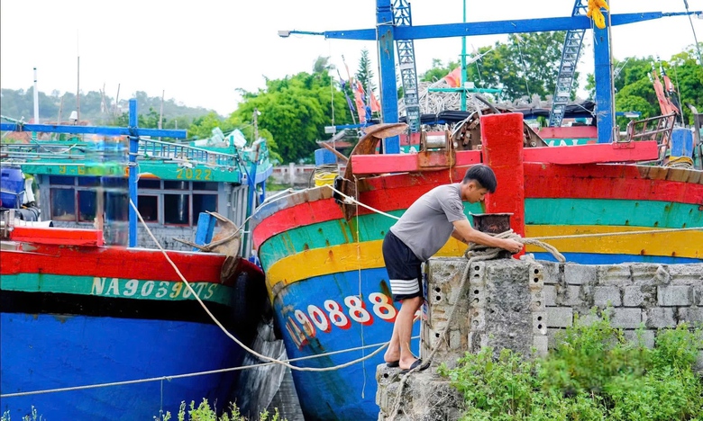 Nghệ An: Hơn 2.900 t&agrave;u thuyền đ&atilde; về nơi tr&aacute;nh, tr&uacute; an to&agrave;n trước khi b&atilde;o số 5 đổ bộ- Ảnh 2.