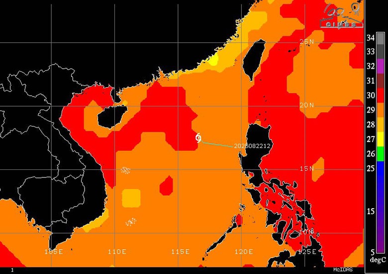 Thủ tướng chỉ đạo ứng ph&oacute; b&atilde;o số 5 ở mức cao nhất, bảo đảm an to&agrave;n t&iacute;nh mạng nh&acirc;n d&acirc;n- Ảnh 1.