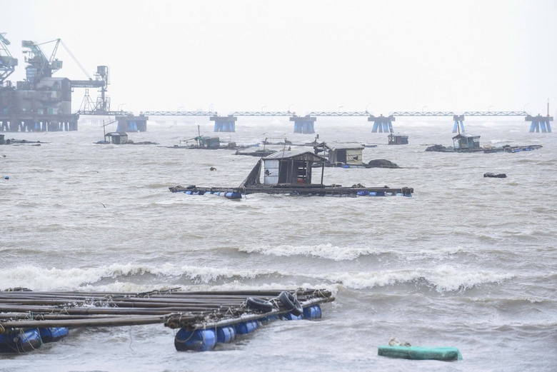 B&atilde;o số 5 quần thảo Nghệ An, đường phố Cửa L&ograve; ngập s&acirc;u, nhiều c&acirc;y xanh g&atilde;y đổ- Ảnh 40.