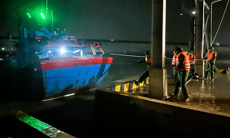 B&atilde;o số 5 quần thảo Nghệ An, đường phố Cửa L&ograve; ngập s&acirc;u, nhiều c&acirc;y xanh g&atilde;y đổ- Ảnh 52.