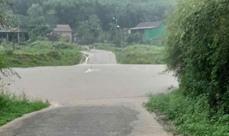 B&atilde;o số 5 quần thảo Nghệ An, đường phố Cửa L&ograve; ngập s&acirc;u, nhiều c&acirc;y xanh g&atilde;y đổ- Ảnh 42.