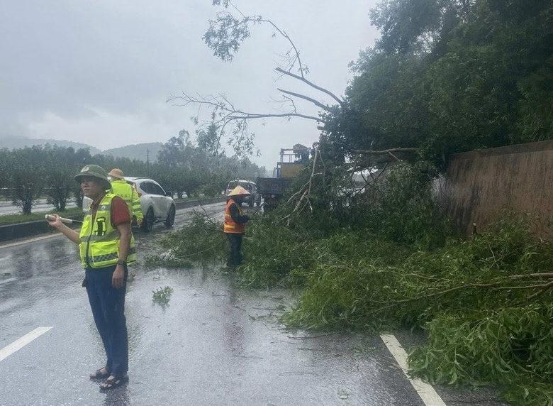 Từ 13h hôm nay, cấm phương tiện hướng về tâm bão số 5 tại Thanh Hóa - Nghệ An - Hà Tĩnh- Ảnh 3. Từ 13h hôm nay, cấm phương tiện hướng về tâm bão số 5 tại Thanh Hóa - Nghệ An - Hà Tĩnh- Ảnh 3.