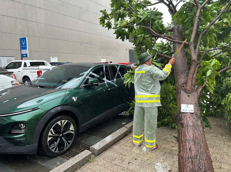 B&atilde;o số 5 quần thảo Nghệ An, đường phố Cửa L&ograve; ngập s&acirc;u, nhiều c&acirc;y xanh g&atilde;y đổ- Ảnh 25.