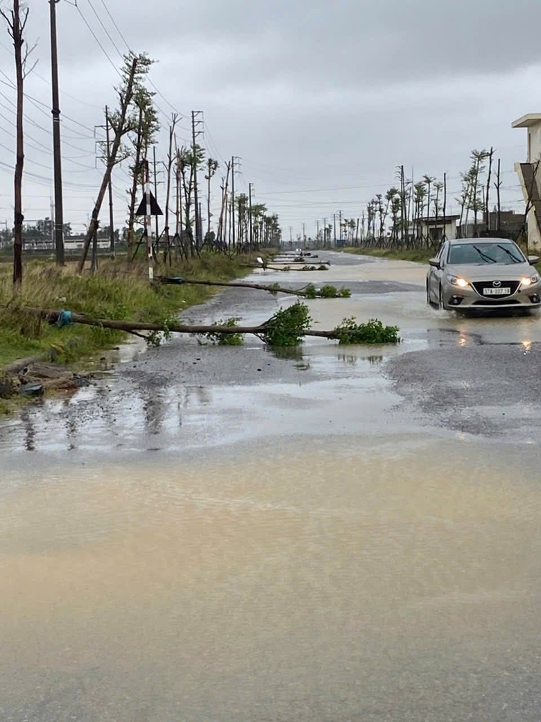 B&atilde;o số 5 quần thảo Nghệ An, đường phố Cửa L&ograve; ngập s&acirc;u, nhiều c&acirc;y xanh g&atilde;y đổ- Ảnh 35.