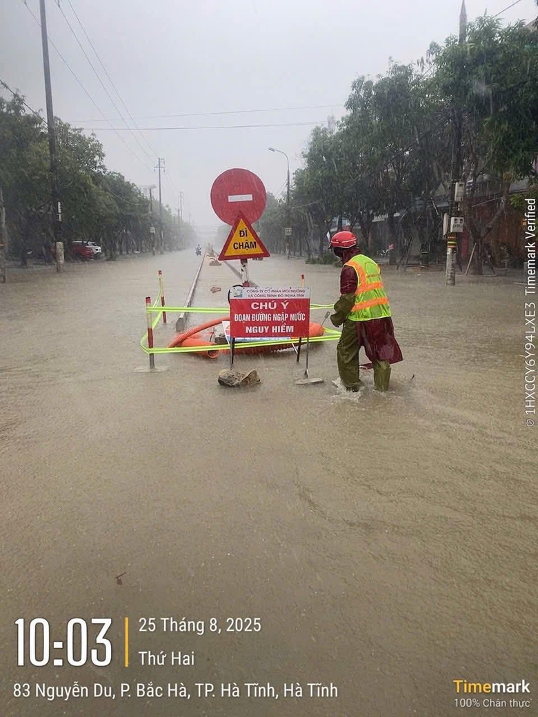 B&atilde;o số 5 quần thảo Nghệ An, đường phố Cửa L&ograve; ngập s&acirc;u, nhiều c&acirc;y xanh g&atilde;y đổ- Ảnh 29.