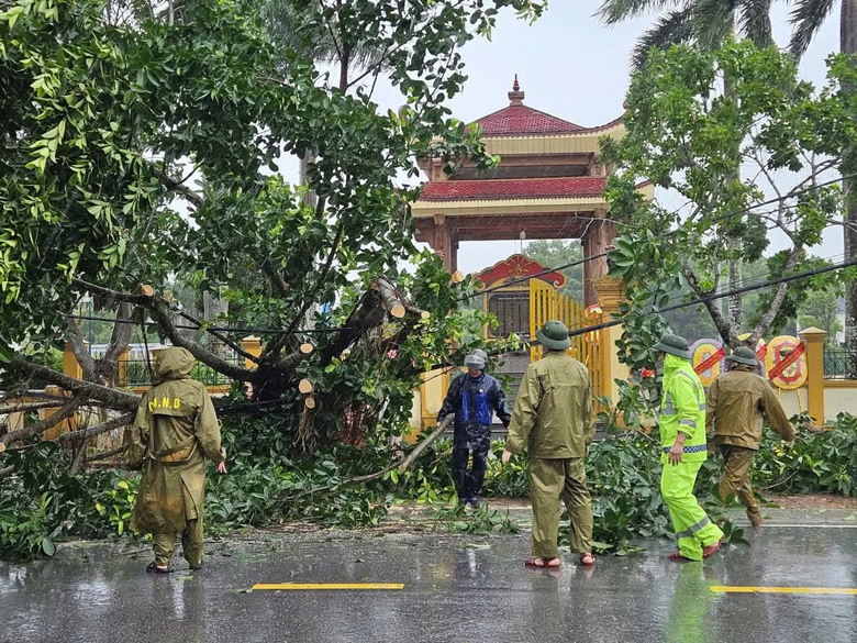 B&atilde;o số 5 quần thảo Nghệ An, đường phố Cửa L&ograve; ngập s&acirc;u, nhiều c&acirc;y xanh g&atilde;y đổ- Ảnh 33.