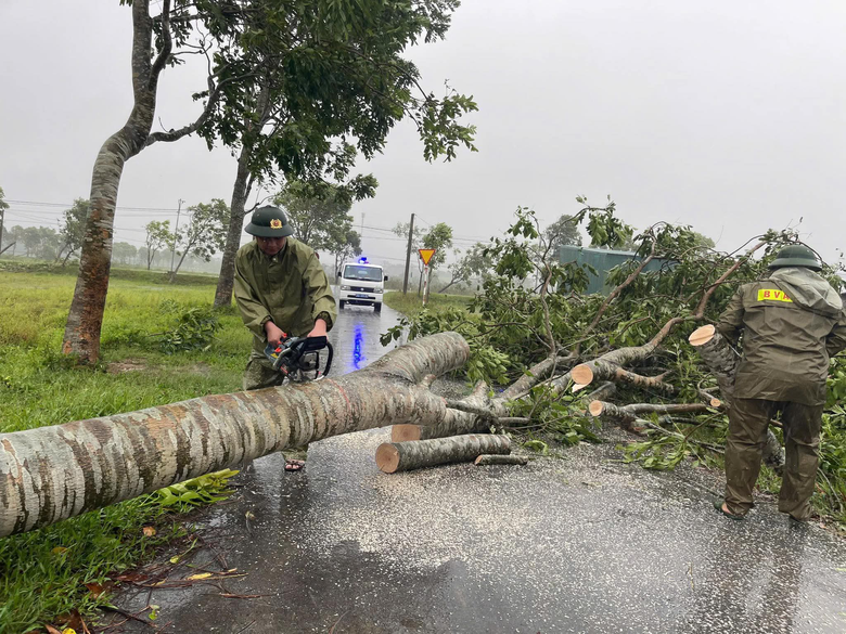 B&atilde;o số 5 quần thảo Nghệ An, đường phố Cửa L&ograve; ngập s&acirc;u, nhiều c&acirc;y xanh g&atilde;y đổ- Ảnh 12.