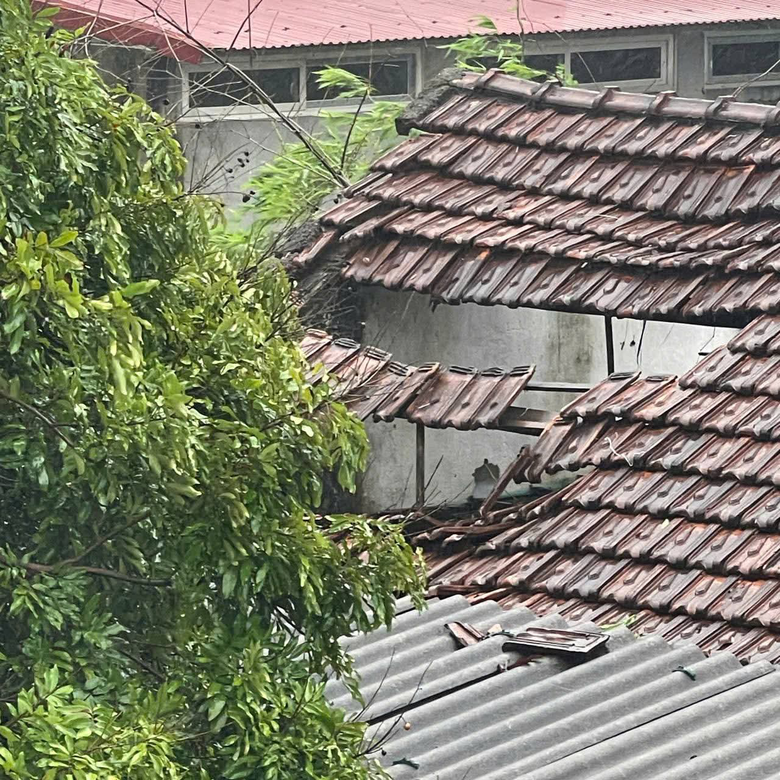 B&atilde;o số 5 quần thảo Nghệ An, đường phố Cửa L&ograve; ngập s&acirc;u, nhiều c&acirc;y xanh g&atilde;y đổ- Ảnh 16.