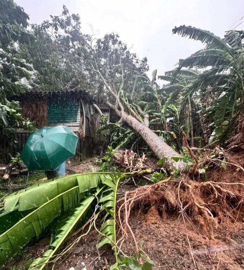 B&atilde;o số 5 quần thảo Nghệ An, đường phố Cửa L&ograve; ngập s&acirc;u, nhiều c&acirc;y xanh g&atilde;y đổ- Ảnh 13.