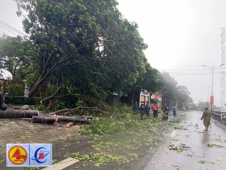 B&atilde;o số 5 quần thảo Nghệ An, đường phố Cửa L&ograve; ngập s&acirc;u, nhiều c&acirc;y xanh g&atilde;y đổ- Ảnh 1.