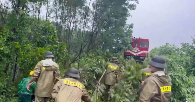 B&atilde;o số 5 quần thảo Nghệ An, đường phố Cửa L&ograve; ngập s&acirc;u, nhiều c&acirc;y xanh g&atilde;y đổ- Ảnh 10.