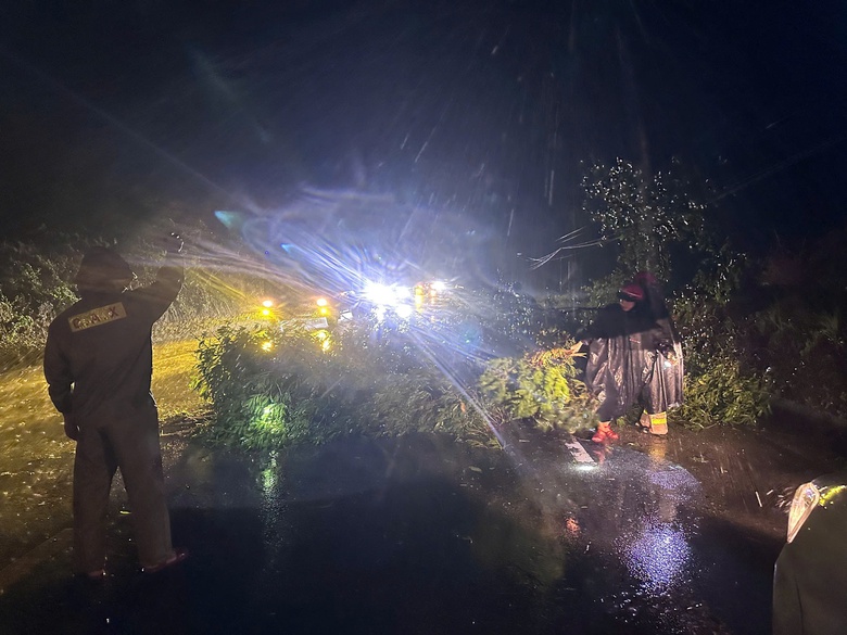 H&agrave; Tĩnh - Nghệ An: Xuy&ecirc;n đ&ecirc;m dọn c&acirc;y đổ, khơi th&ocirc;ng giao th&ocirc;ng sau b&atilde;o số 5- Ảnh 2.