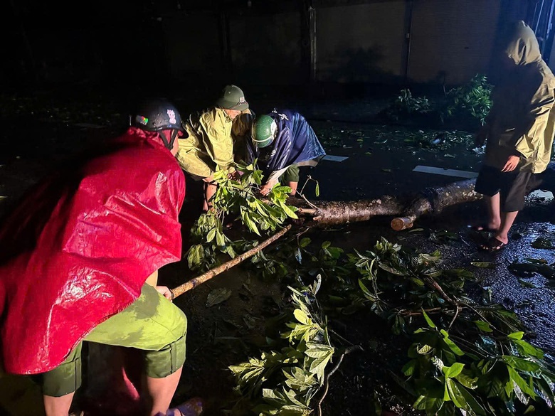 H&agrave; Tĩnh - Nghệ An: Xuy&ecirc;n đ&ecirc;m dọn c&acirc;y đổ, khơi th&ocirc;ng giao th&ocirc;ng sau b&atilde;o số 5- Ảnh 4.