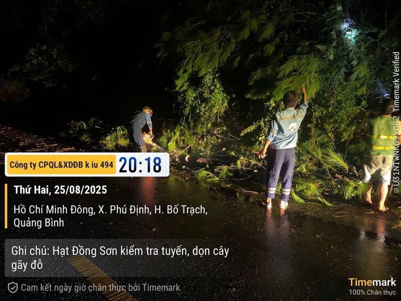 H&agrave; Tĩnh - Nghệ An: Xuy&ecirc;n đ&ecirc;m dọn c&acirc;y đổ, khơi th&ocirc;ng giao th&ocirc;ng sau b&atilde;o số 5- Ảnh 5.